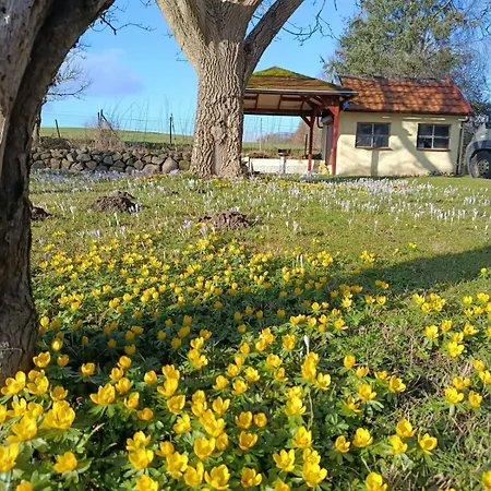 Maikito Frühstückspension