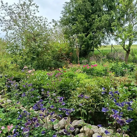 Frühstückspension Maikito *