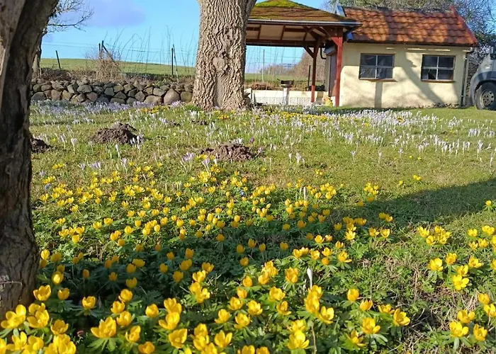 Maikito Bed & Breakfast