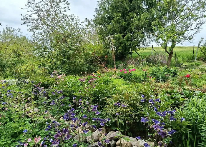 Bed & Breakfast Maikito *